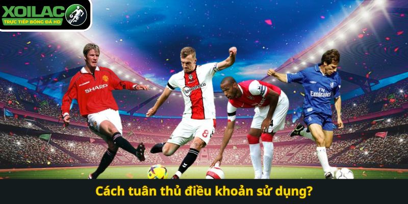 Cách tuân thủ điều khoản sử dụng?